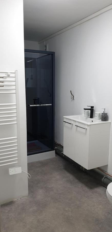 Studio, Chambres, Appartement, Gite Vendegies-sur-Ecaillon Εξωτερικό φωτογραφία